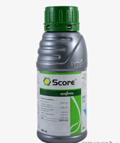 Insecticide Ridomil Gold